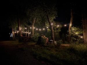 a row of lights in a park at night at Tiny House - Osada Wilkasy in Giżycko