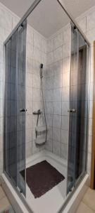 a shower with a glass enclosure in a bathroom at Apartments Zoran in Povljana