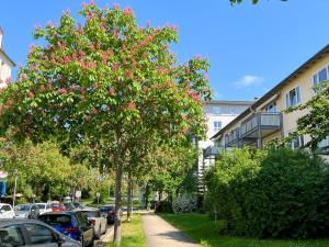 卡塞爾的住宿－New-York Appartment, 2 Zimmer, Zentral Nähe Bahnhof Wilhelmshöhe，街道边有粉红色花的树