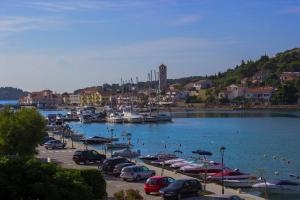 Φωτογραφία από το άλμπουμ του House HOTEL PLAVA LAGUNA σε Tisno +99 φωτογραφίες