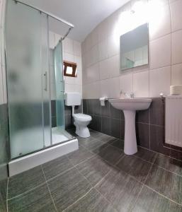a bathroom with a sink and a toilet and a shower at Popasul Găleșean in Galeşu