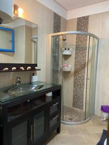 La salle de bains est pourvue d'une douche en verre et d'un lavabo. dans l'établissement Appartement COQUILLAGE, à Skhirat