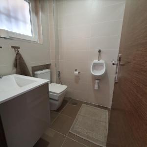 a bathroom with a toilet and a sink and a urinal at Studio in city in Fuengirola +13 photos