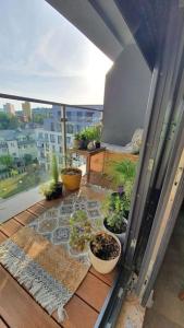a balcony with several potted plants on a balcony at Apartment in city center in Przemyśl