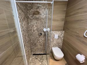 a shower stall with a toilet in a bathroom at Mali Stan Opatija in Opatija