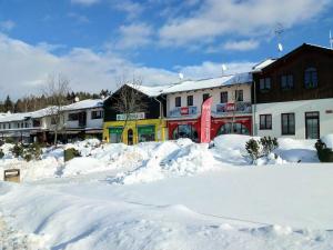 Apartman LEO Nr. 8 Lipno nad Vltavou v zimě