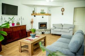 a living room with a couch and a table at Pensiunea Rozelor Stațiunea Climaterică Sâmbăta in Sâmbăta de Sus