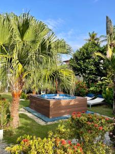 a garden with a palm tree and a fountain at 21 Palms in Las Galeras