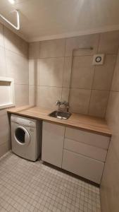 uma pequena cozinha com um lavatório e uma máquina de lavar roupa em Moen Booking em Åndalsnes