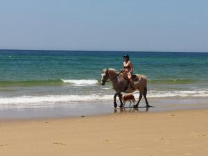 uma mulher a cavalo na praia com um cão em Entre terre et mer em Sainte-Eulalie-en-Born