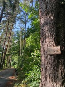 Příroda nedaleko apartmánu