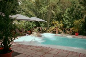 a swimming pool with an umbrella and two chairs and a table at Hotel Jungle Lodge Tikal in Tikal