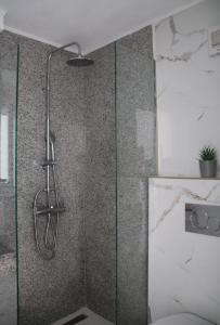 een douche met een glazen deur in de badkamer bij Fiosal Apartments 2 in Skiathos-stad