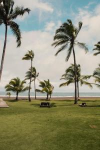 a grassy field with palm trees and the ocean at Hotel Playa Cambutal in Cambutal