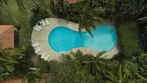 an overhead view of a swimming pool with chairs and trees at Hotel Playa Cambutal in Cambutal
