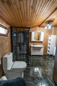 a bathroom with a toilet and a sink at Sapancaminihouse in Sapanca