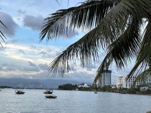 a palm tree and boats in the water at 2S Ha Long Homestay in Ha Long