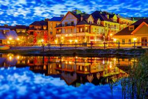 アパートメントの近くで見られる自然の景観