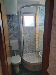 a bathroom with a shower and a toilet and a sink at Apartments by the sea Podaca, Makarska - 19078 in Podaca +31 photos