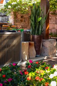 Um jardim em Moã Charme Hotel - Mucugê