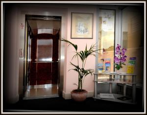 Fotografie z fotogalerie ubytování Hotel Rosina v destinaci Makarska