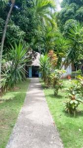 een pad naar een huis met palmbomen bij Hermoso apartamento con acceso al club in Puerto Palenque