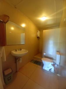 a bathroom with a white toilet and a sink at Philomena's Lodge in Douane