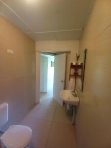 a bathroom with a toilet and a sink at Philomena's Lodge in Douane