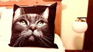 a black cat sitting on a bed with a pillow at Hotel La More at The Bisbee Inn in Bisbee
