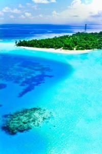 an aerial view of an island in the ocean at White Sand Himandhoo in Himandhoo 