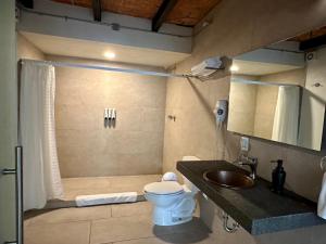 y baño con aseo, lavabo y ducha. en Casa Raffaello, en Ciudad de México