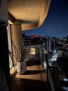 - un balcon avec une plante en pot installée au-dessus d'un bâtiment dans l'établissement Garden Point Luxury Apartments, à San Miguel de Tucumán