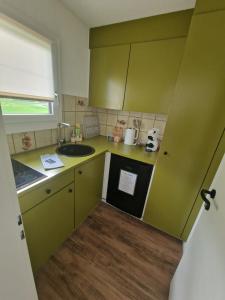 a small kitchen with green cabinets and a sink at Apartment 401 in Bergün