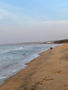 a sandy beach with the ocean in the background at Đức Lưu Quang Hotel Bình Thuận in Tuy Phong