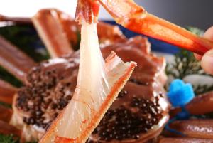 a person is holding a piece of meat and carrots at Ichidaya in Toyooka