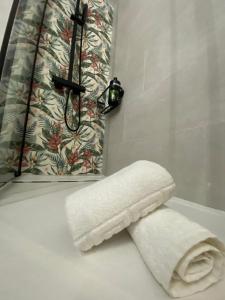 a roll of toilet paper sitting on a counter in a bathroom at La Lunita in Valverde