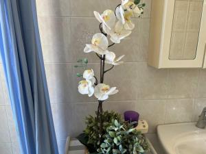 A bathroom at Casa Viola di Maria Gabriella, San Vito a 25 minuti da Costa Rey e Villasimius