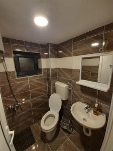 La salle de bains est pourvue de toilettes et d'un lavabo. dans l'établissement STD Cvetković, à Crni Vrh