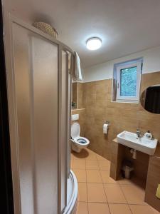 een badkamer met een douche, een toilet en een wastafel bij Penzion u Fika in Ostrava