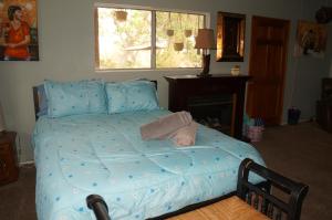 a bedroom with a bed with blue sheets and a fireplace at Lunar Eclipse on 4 acres w hot tub in Yucca Valley