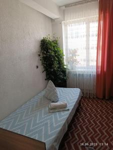 een slaapkamer met een bed met een kussen en een plant bij HalalHostel in Osh