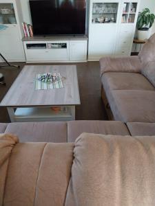 a living room with a couch and a coffee table at Apartma Mira in Zgornje Škofije