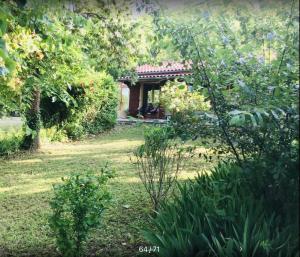 Vonkajšia záhrada v ubytovaní Le gîte de Gascogne