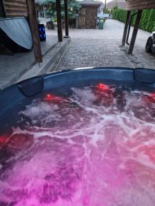 a pool of water with red lights in it at Brīvdienu māja pie Gaujas in Siguļi