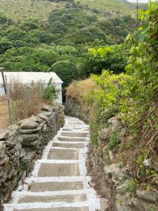 Fotografia z galérie ubytovania Καταφύγιο στη φύση v destinácii Andros