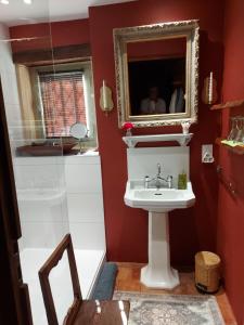 y baño con lavabo y espejo. en Manoir de Malfarat, en Charlieu
