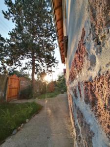 ceglana ściana obok ulicy z drzewem w obiekcie Ижата - топлина и уют w mieście Borovitsa