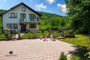 a house with a brick patio in front of a house at Colt de Rai in Berislăveşti