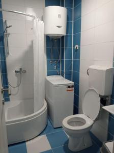 uma casa de banho azul e branca com um WC e um chuveiro em M&M Apartment em Kotor