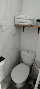 ピュイルボローにあるGîte Fleur de Sable La Rochelleのバスルーム(白いトイレ、タオル付)